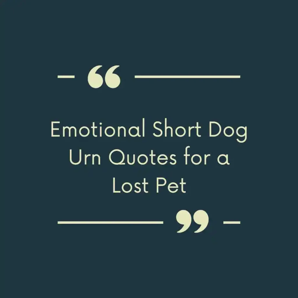 Emotional Short Dog Urn Quotes for a Lost Pet