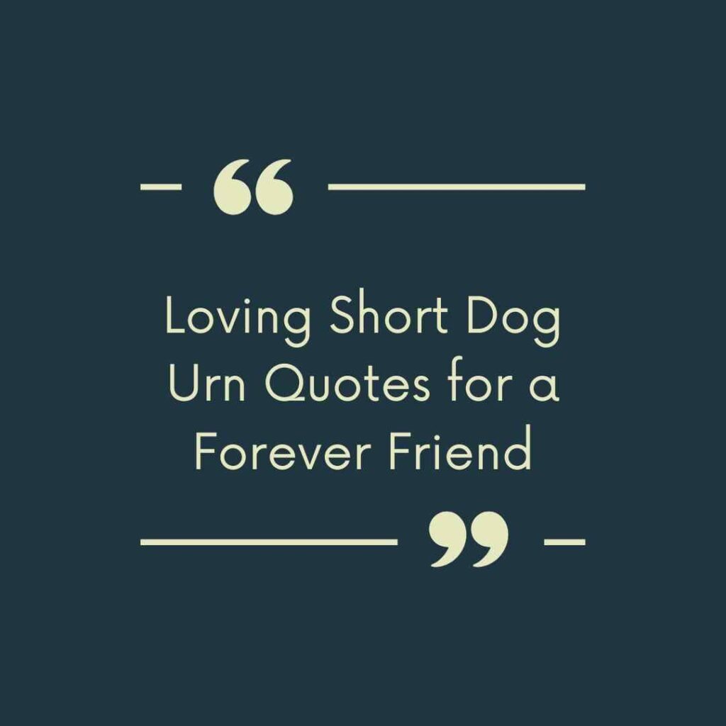 Loving Short Dog Urn Quotes for a Forever Friend