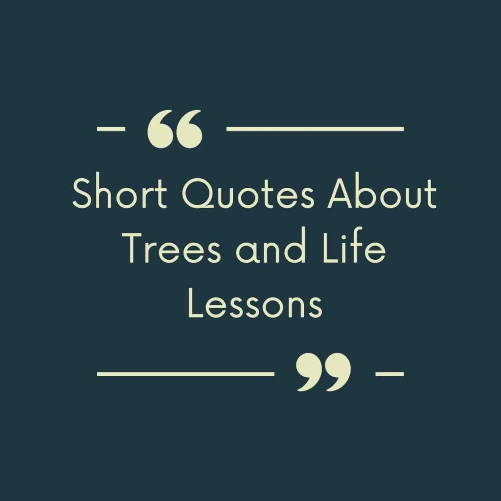 Short Quotes About Trees and Life Lessons