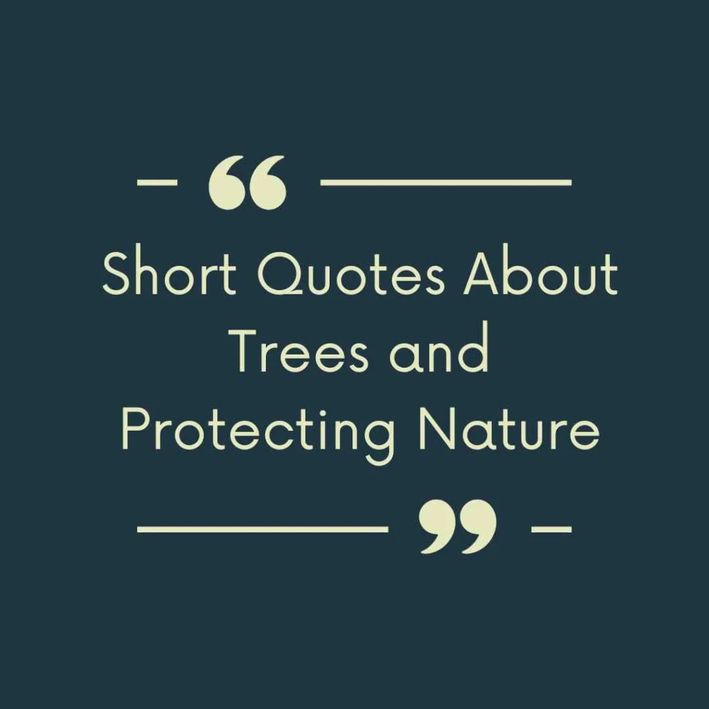 Short Quotes About Trees and Protecting Nature