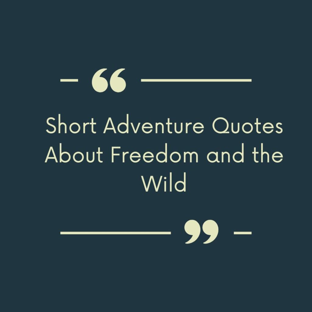 Short Adventure Quotes About Freedom and the Wild
