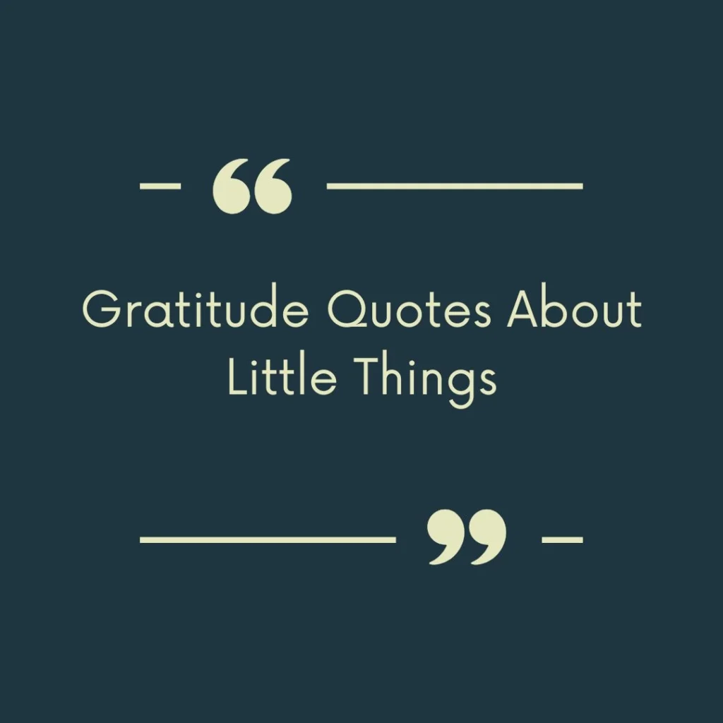 Gratitude Quotes About Little Things